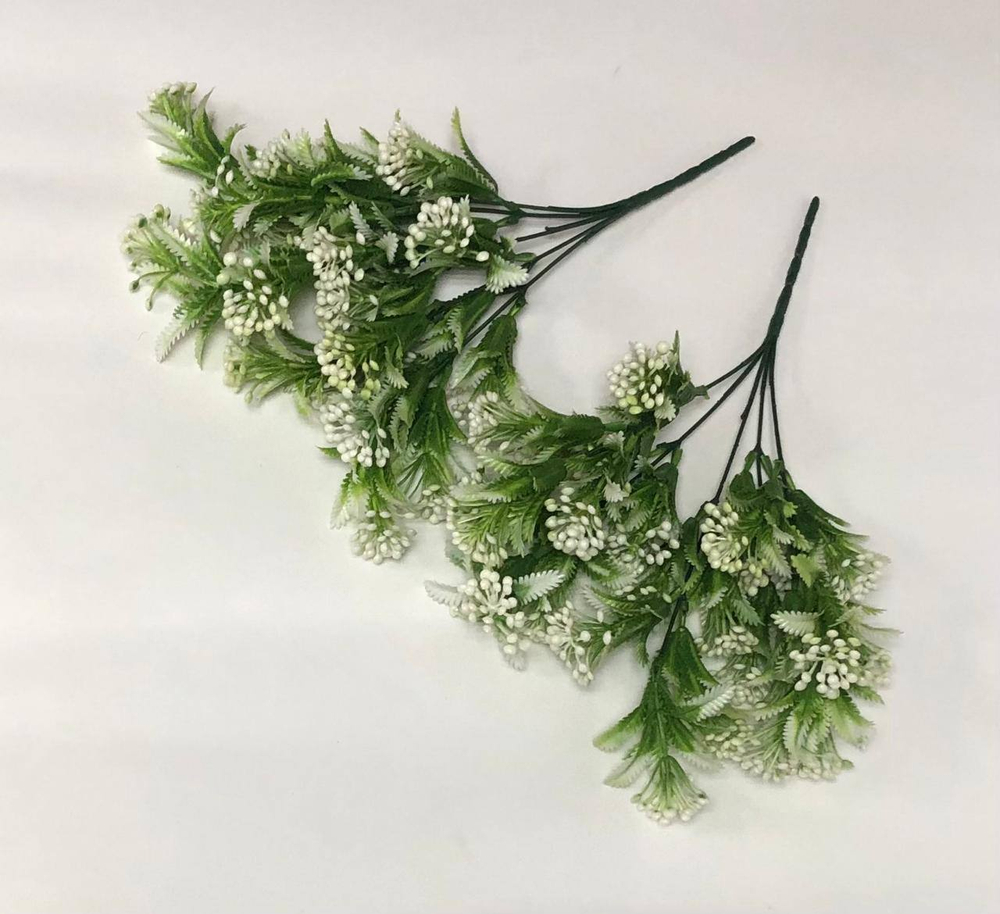 Куст белые ягодки