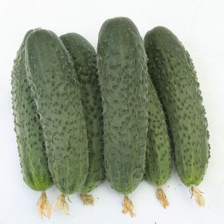 Огурец Атаман F1 100 (семян)