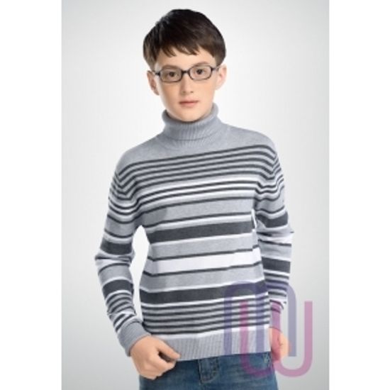 Джемпер для мальчиков Pelican BKJN4047