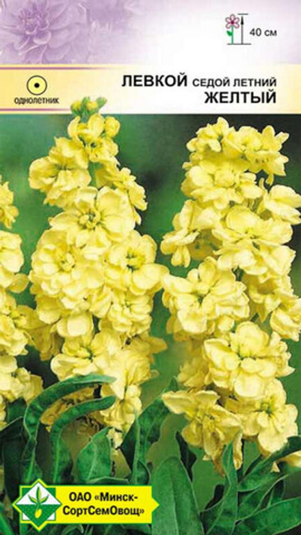 Левкой седой "Желтый" 0.15г, Германия.