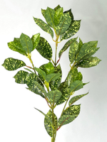 Аукуба ветка 80 см