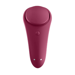 Вибратор на магните в трусики Sexy Secret (с приложением на смартфон)