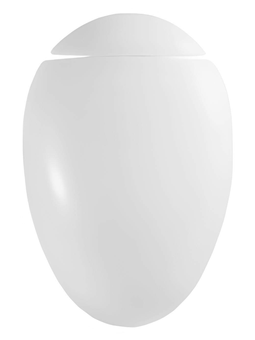 Сиденье для унитаза  WeltWasser WW  001 GL- WT JECKENBACH