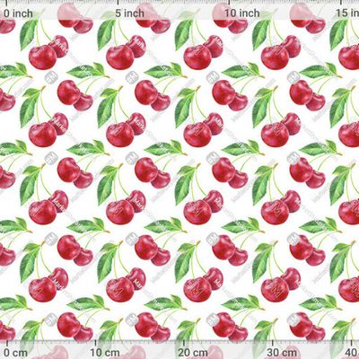 Вишня by evgenia_art_art 588 DPI