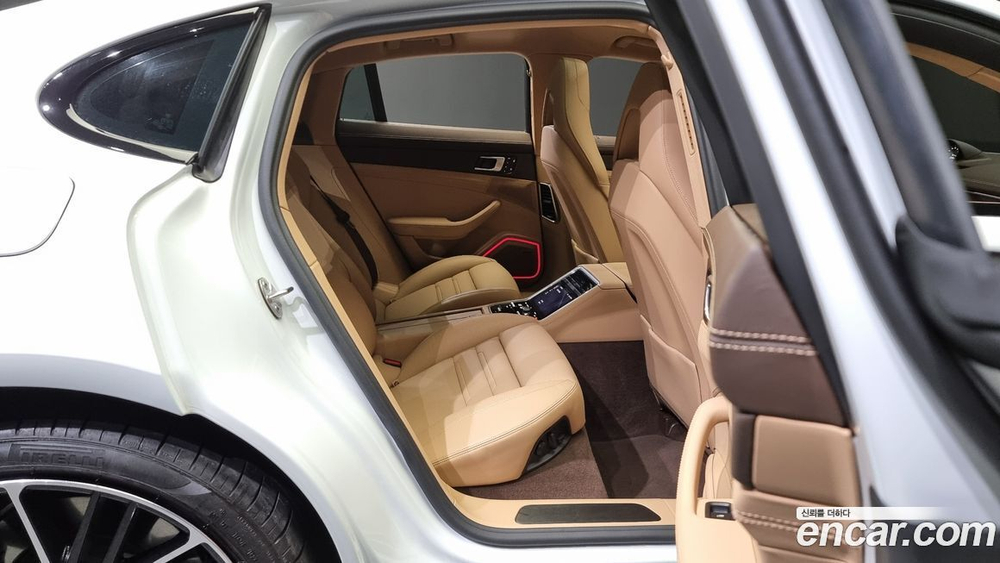 Porsche Panamera (971) 2.9 AWD E-Hybrid Platinum Editions (07.2023)