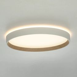 Citilux ETALON CL750320R LED RGB Светильник с пультом Белый+Бук