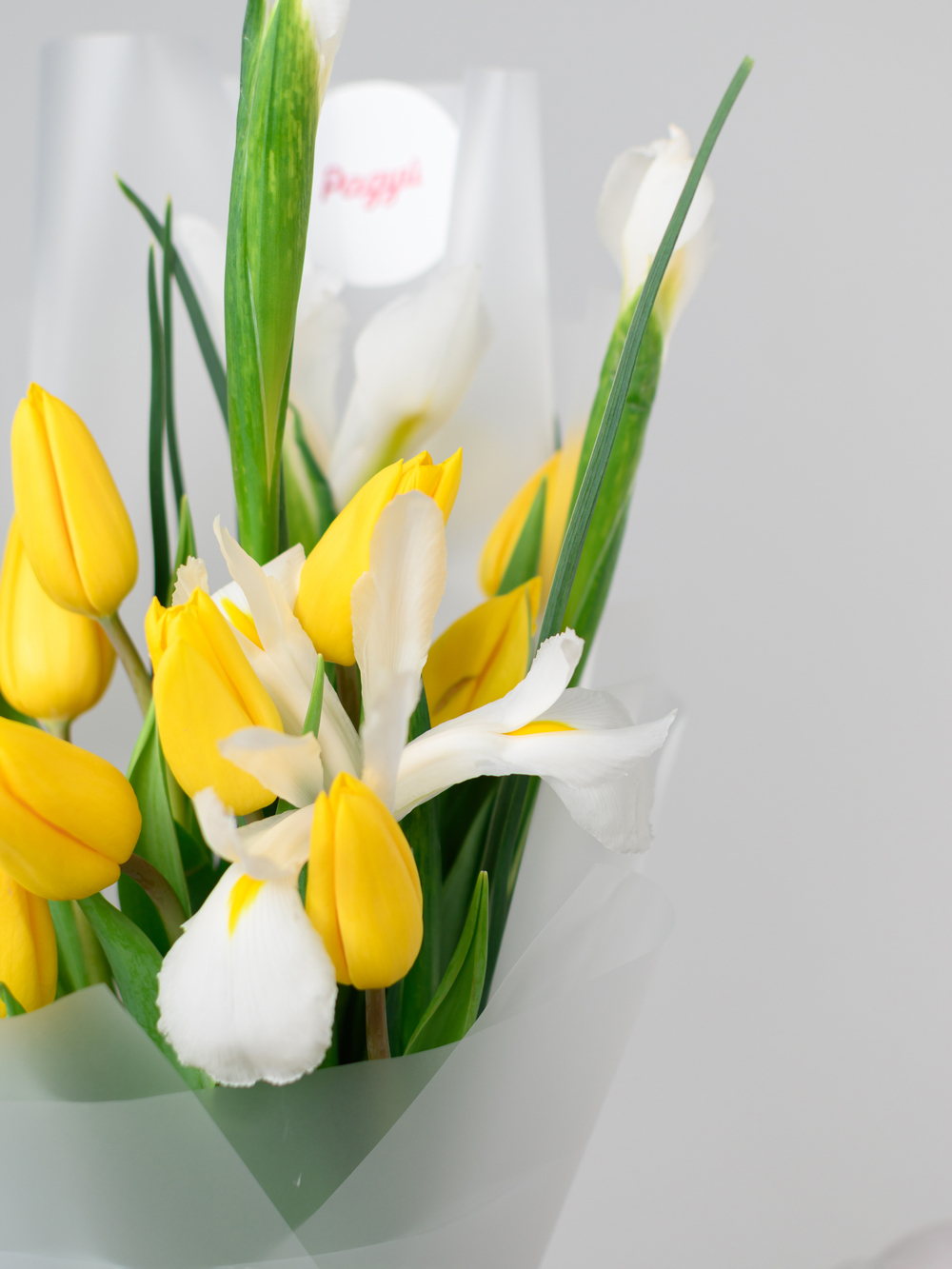 Дуо букет Ирисы с Тюльпанами