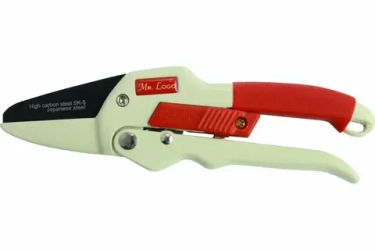 Черная пятница для садовода: какие инструменты купить выгодно