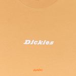  Футболка мужская Dickies Enterprise артикул:DK0A4YRNK411 - купить в магазине Дайс