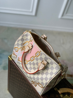 Louis Vuitton Speedy 25