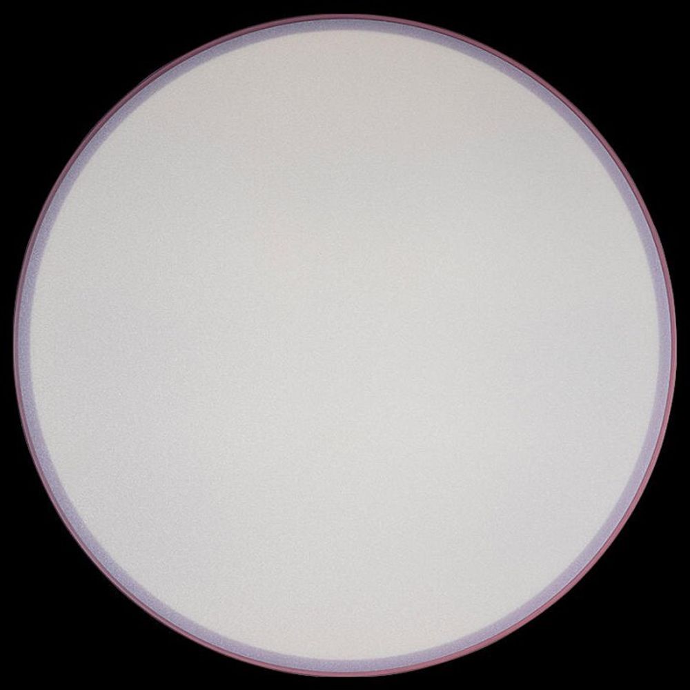 Накладной светильник Loft it Axel 1 10002/24 Pink