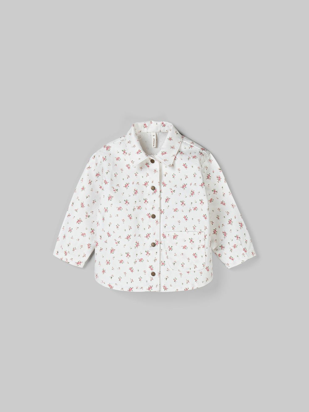 предметная