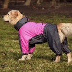 Комбинезон для собаки дождевик демисезонный White Wolf вырез на девочку розово-чёрный