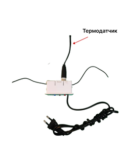 Терморегулятор Наседка цифровой 220 В (100 Вт)