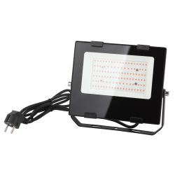 Фитопрожектор для растений светодиодный ЭРА FITO-50W-RB-LED для цветения и плодоношения красно-синего спектра 50 Вт | Фито прожекторы