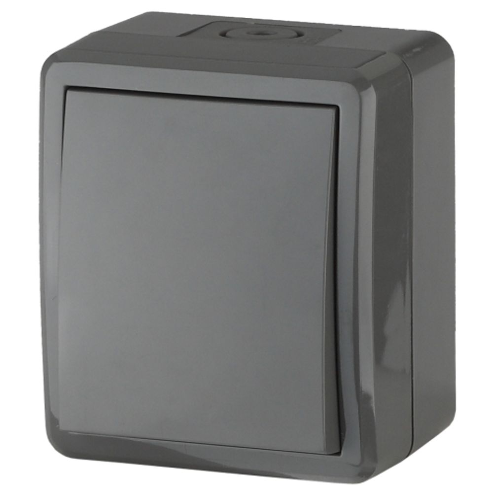 Переключатель ЭРА Эксперт 11-1403-03 IP54 10АХ-250В ОУ серый | Эра Эксперт