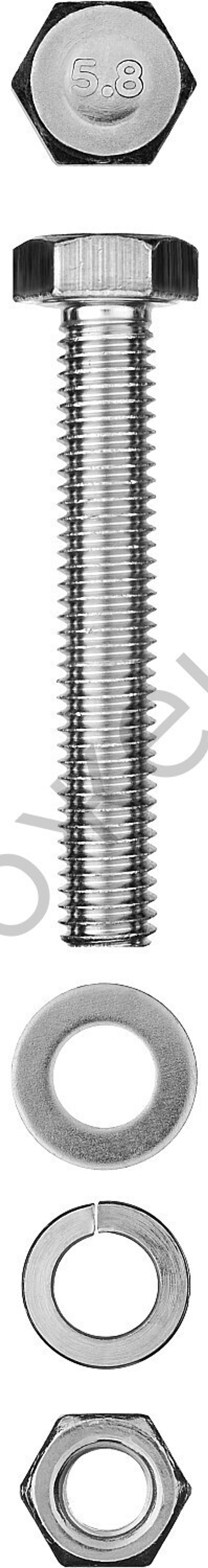 ЗУБР DIN 933 M10 x 50 мм, болт с гайкой и шайбами, 2 шт (303436-10-050)