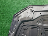 Капот BMW M5 F90 (2017-2024)