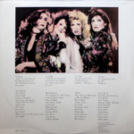 Stevie Nicks / The Wild Heart (LP)