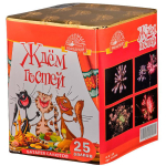 Салют «Ждем гостей» Модуль (0,8»х25) 12/1