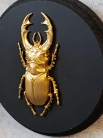 Панно на стену для интерьера жук олень