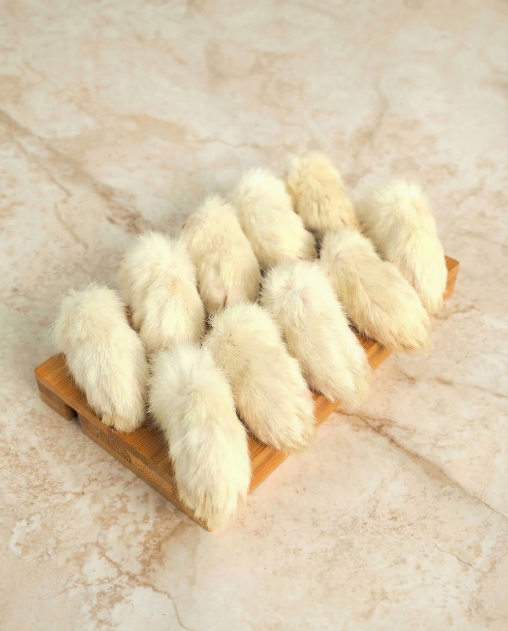 Лапки кролика передние