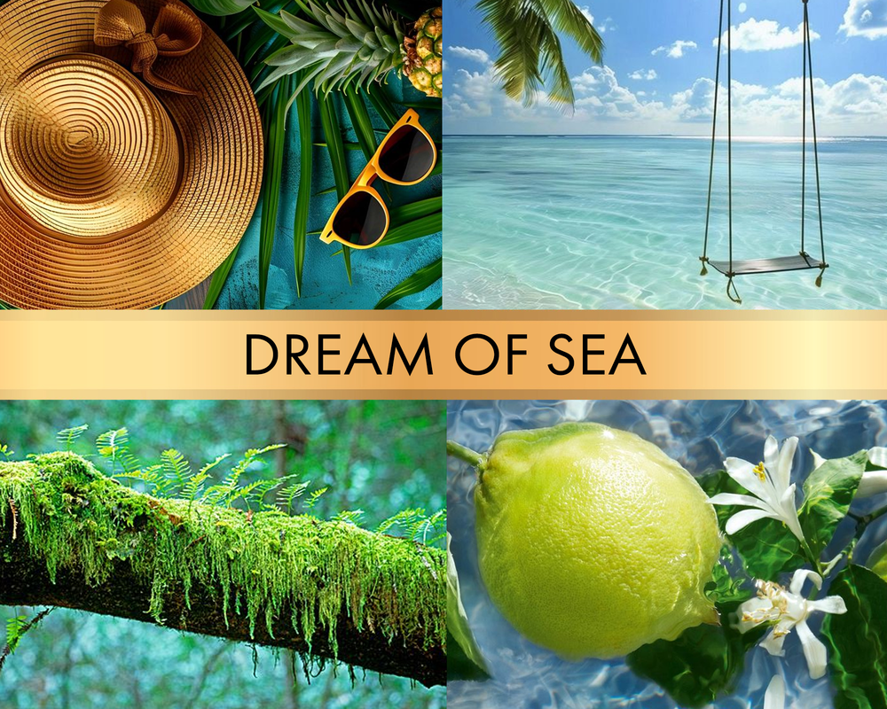 Dream of sea (Мечты o море)