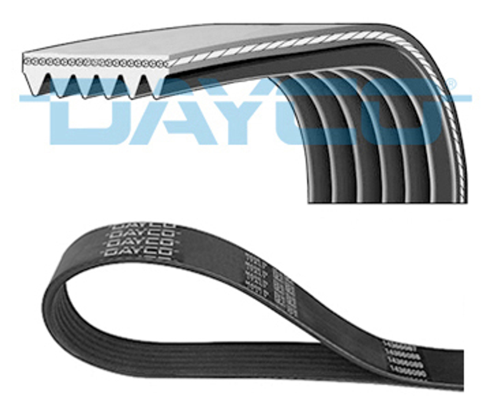 DAYCO - 6PK1995-DAY - V-Ribbed Belt