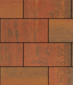 Тротуарная плитка ВЫБОР, форма Прямоугольник 600*300, h=60мм