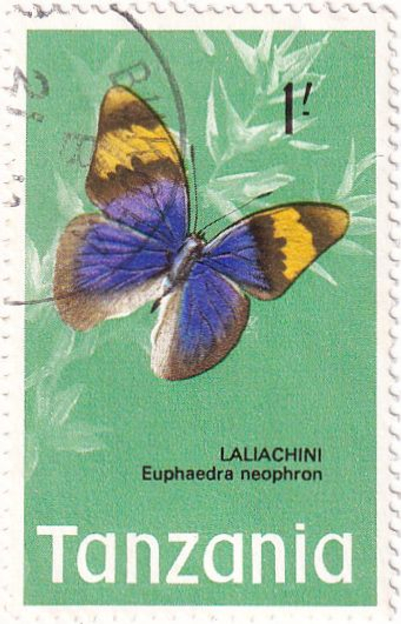 23 почтовых марки, Танзания, 1960-1970-е годы, Бабочки и рыбы