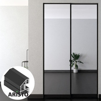 Дверь-купе ARISTO AVERS, зеркало, профиль черный матовый