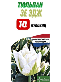 Тюльпан Луковица, Зе Эйджд, 10шт