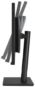 32" Монитор ASUS ProArt PA329CV, 3840x2160, 60 Гц, IPS, черный