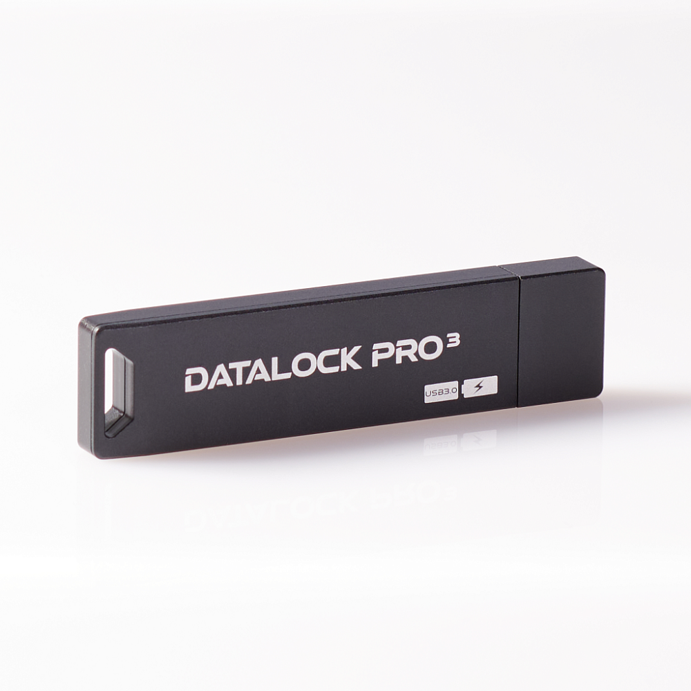 Флешка с защитой от записи DataLock PRO3 64 Gb USB 3.0