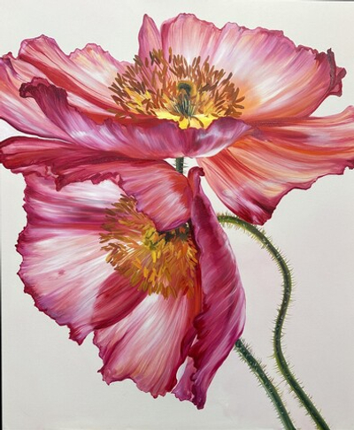 Розовый мак