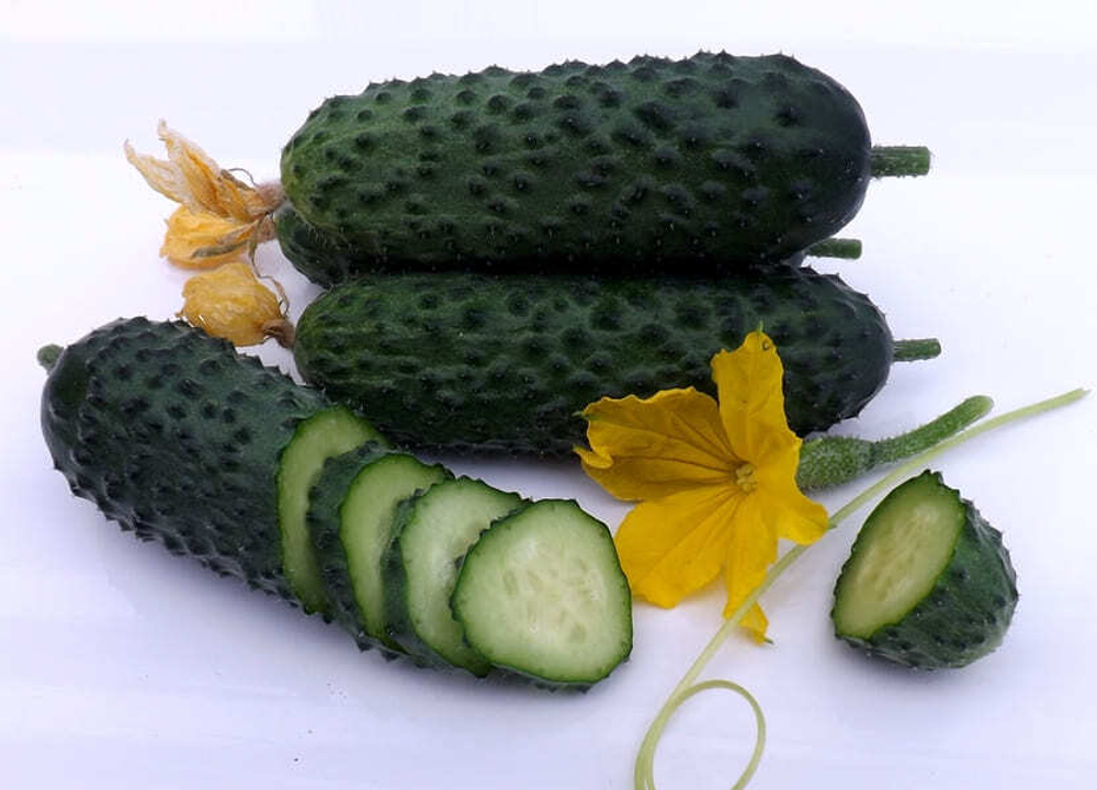 Огурец Самсур F1 7шт ВитаГрин ЭКСТРА