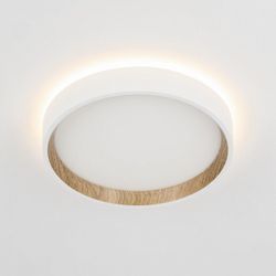 Накладной светильник Citilux Etalon CL750180