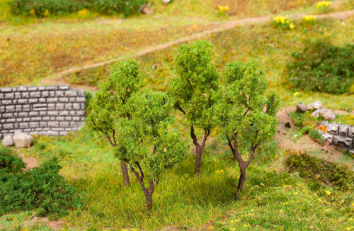 Ольха, 4 шт, 60-70 мм