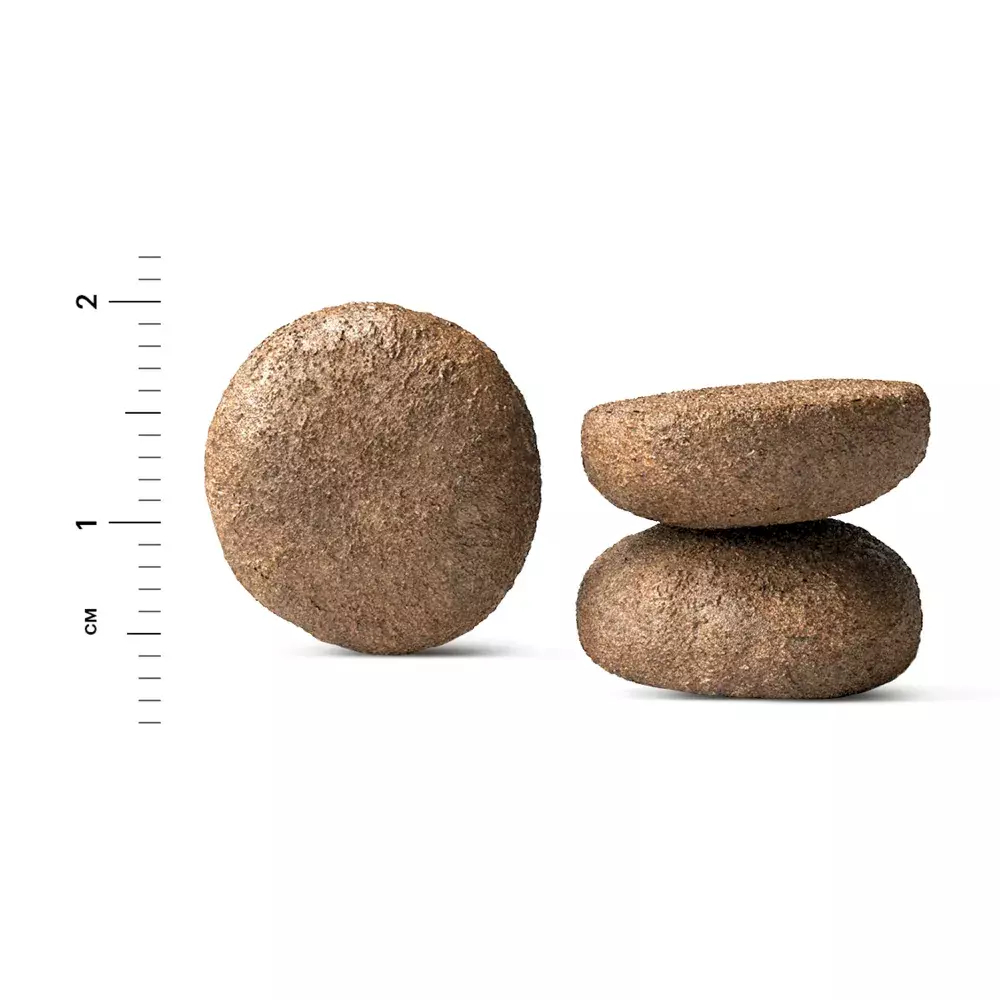 Сухой корм Karmy Delicious Medium & Maxi для собак средних и крупных пород привередливых в питании, телятина, 14 кг