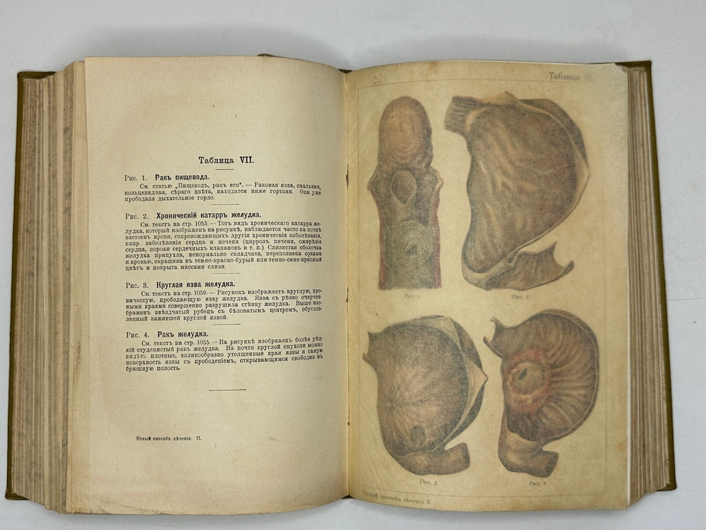 Платен М. Новый способ лечения. Лечение целебными силами природы. — Берлин: Изд. Просвещение, 1901