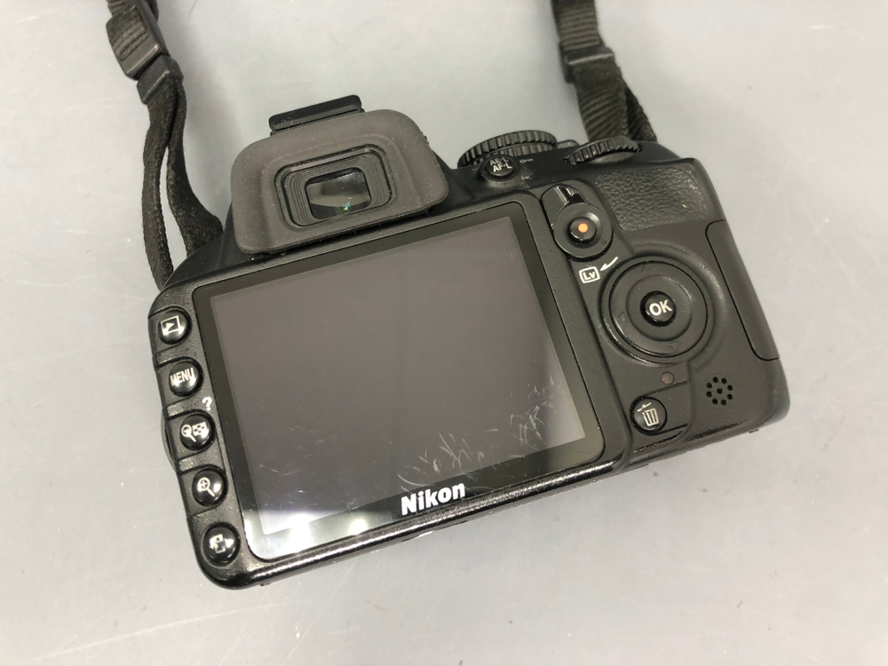 Nikon D3100 + 18-55mm 3.5-5.6G VR (9.500 кадров)