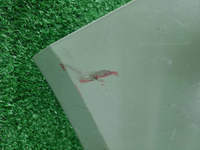 Бампер передний Hyundai Santa Fe 3 DM (2012-2016)