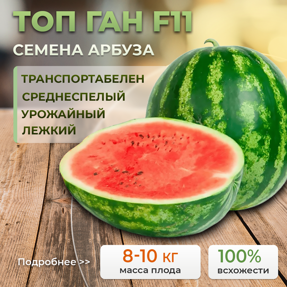 ТОП ГАН F1 семена арбуза (Syngenta | Alexagro) – фото 1