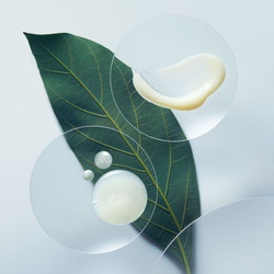 Aveda Botanical Repair Strengthening Shampoo - укрепляющий шампунь для поврежденных волос /   50  ml  / GTIN 018084019474