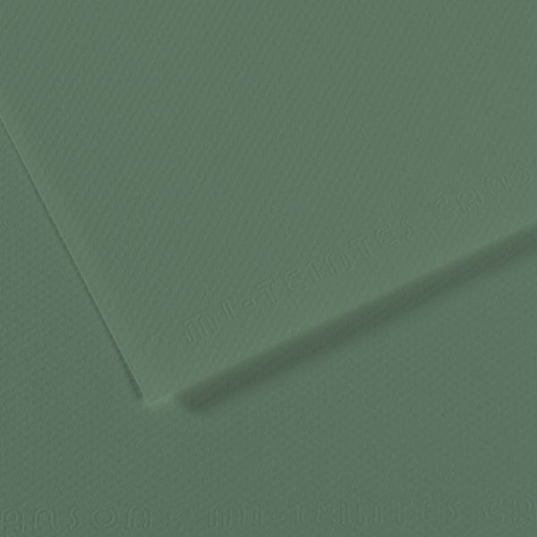 Бумага для пастели Mi-Teintes 160 г/м², 50х65 см, 10 л, №190 Зеленый шалфей, Canson, C31032S128