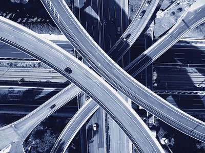 Дизайнерские обои Wall Street Bird see