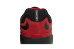 Кроссовки Nike Sb Ishod Varsity Red