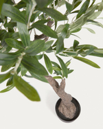 Искусственное оливковое дерево Olivo с черным горшком 140 см