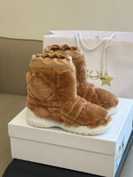 Christian Dior Frost Ankle Boot