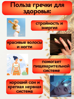 Крупа Гречневая пак. прозрач. 800 гр. АЛИВИКО 2 шт